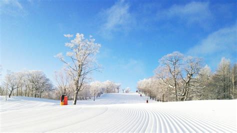 ホワイトピアたかす：未来都市の幻想と現実の狭間で